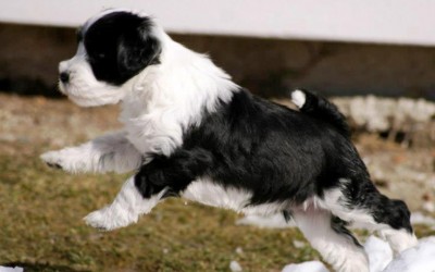 602765_3950627503600_812249118_n