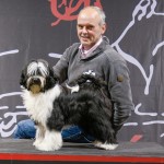 tibetaanse terrier Tibetan Terrier TTCN BTTC Winner Amsterdam