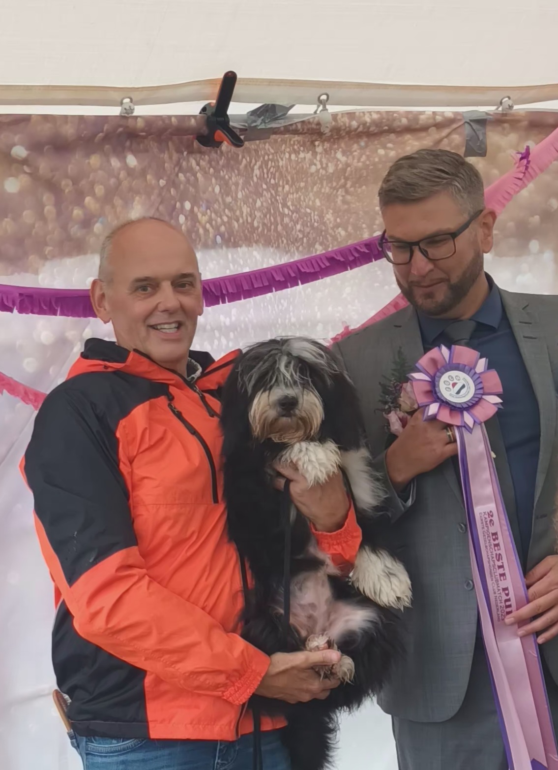 Zippy Tibetan Terrier